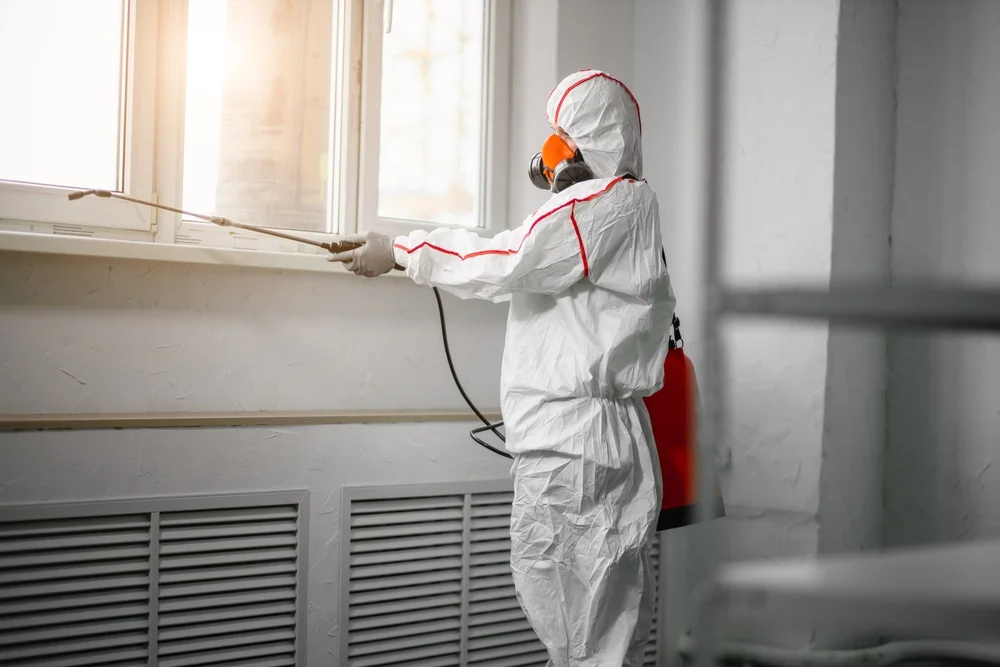 Professional mold remediation services in Orange Park, FL